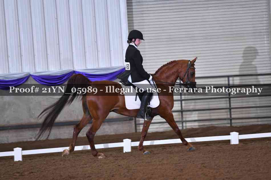 Proof 21YN_05989