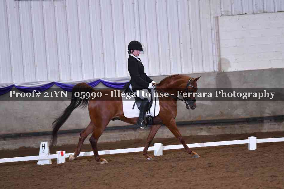 Proof 21YN_05990