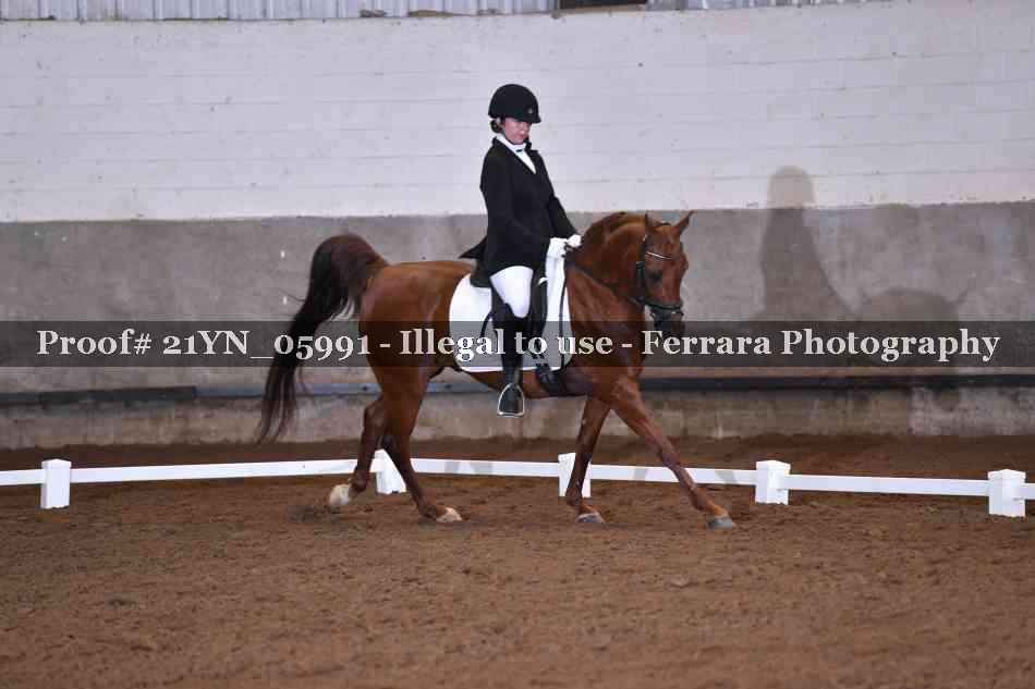 Proof 21YN_05991