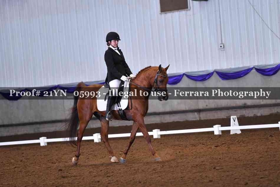 Proof 21YN_05993