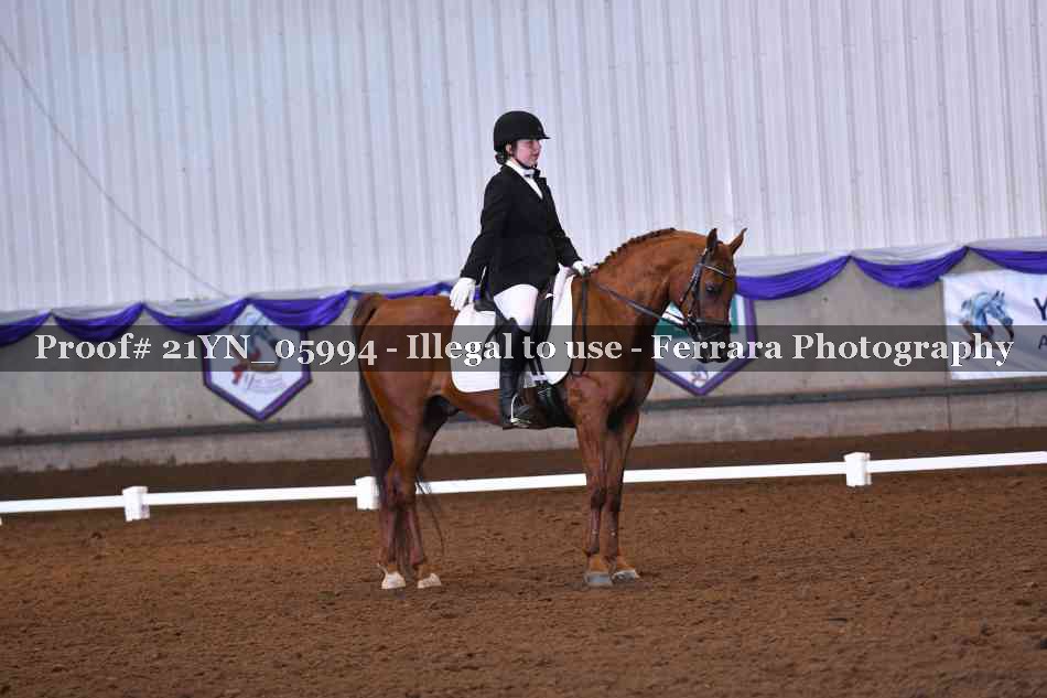 Proof 21YN_05994