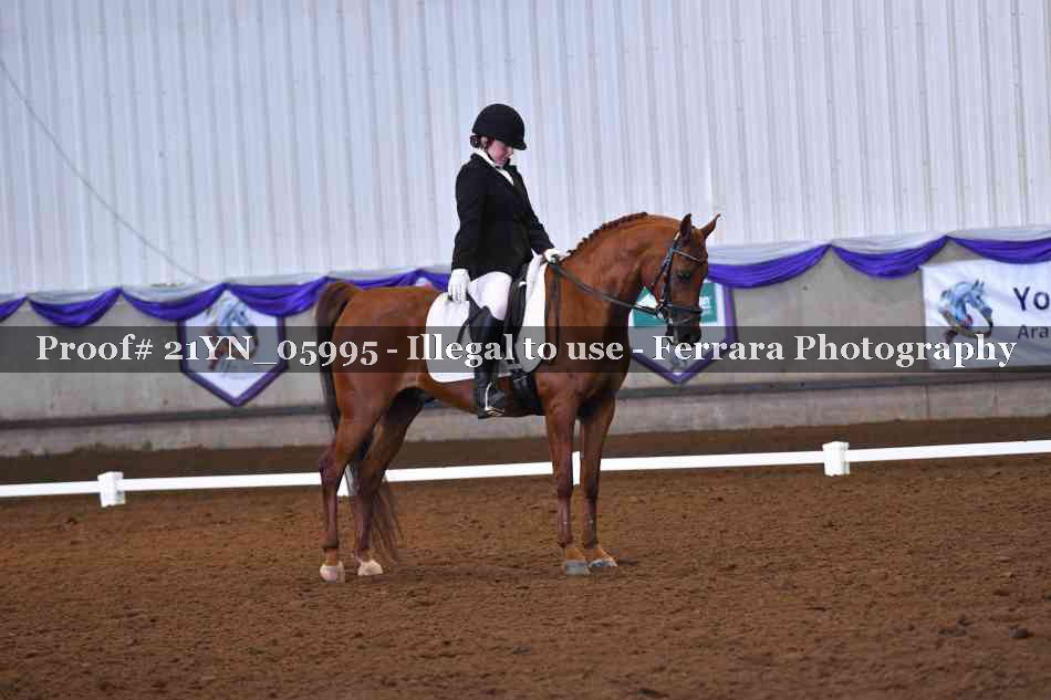 Proof 21YN_05995