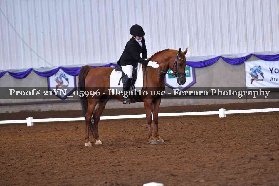 Proof 21YN_05996