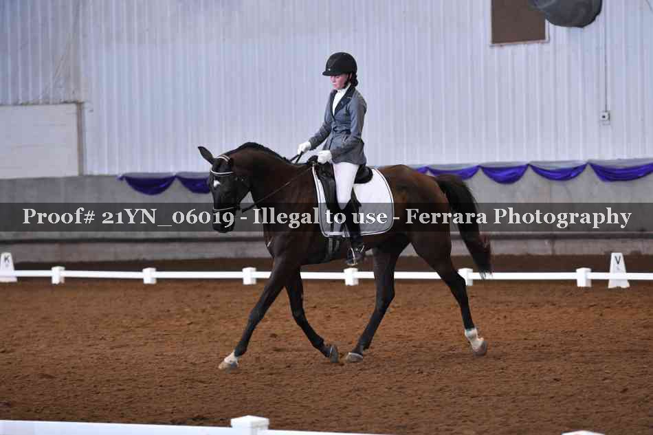 Proof 21YN_06019
