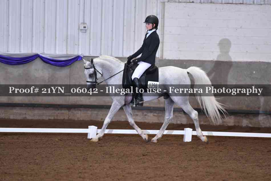 Proof 21YN_06042
