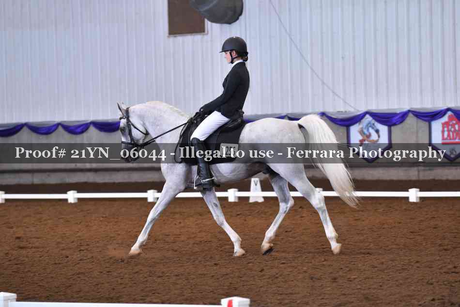 Proof 21YN_06044