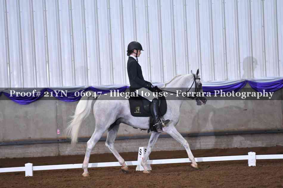 Proof 21YN_06047