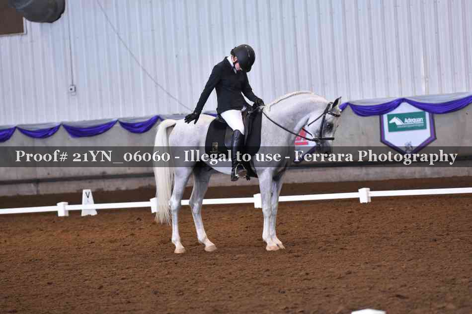 Proof 21YN_06060