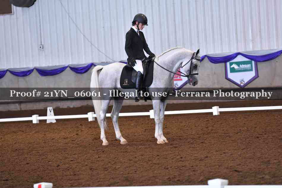 Proof 21YN_06061