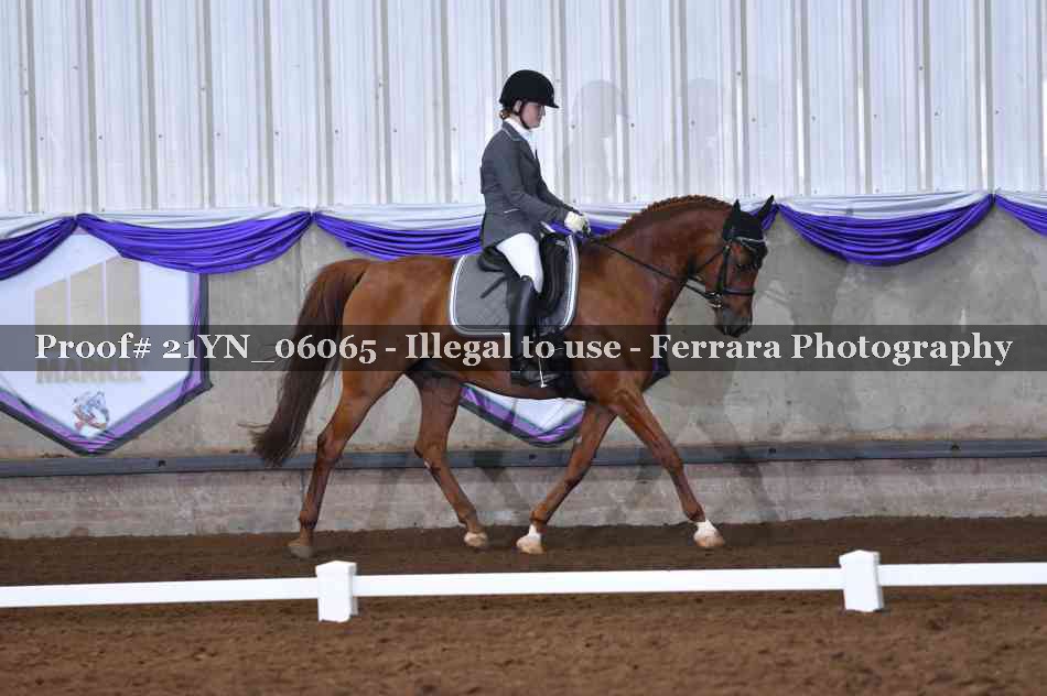 Proof 21YN_06065