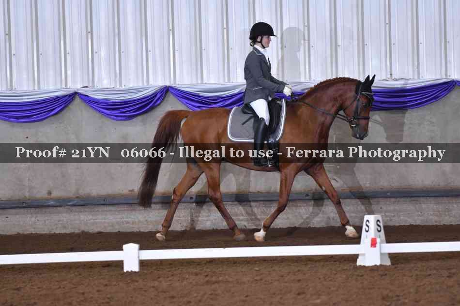 Proof 21YN_06066