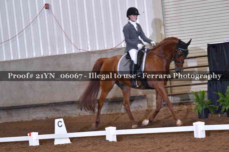 Proof 21YN_06067