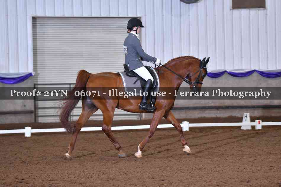 Proof 21YN_06071