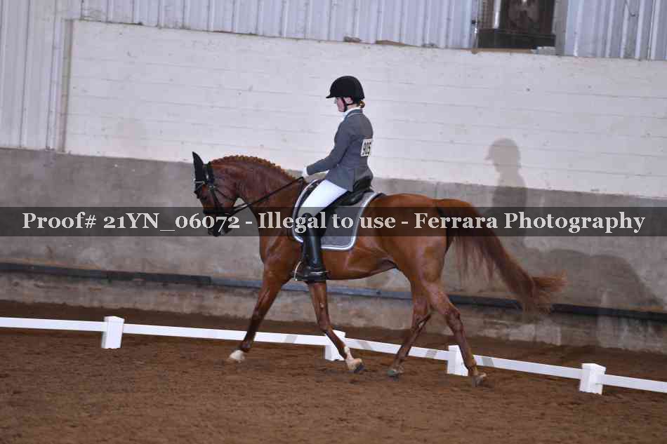 Proof 21YN_06072