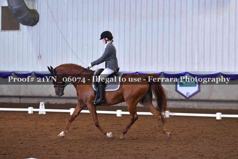 Proof 21YN_06074
