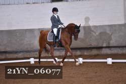 21YN_06077 proof