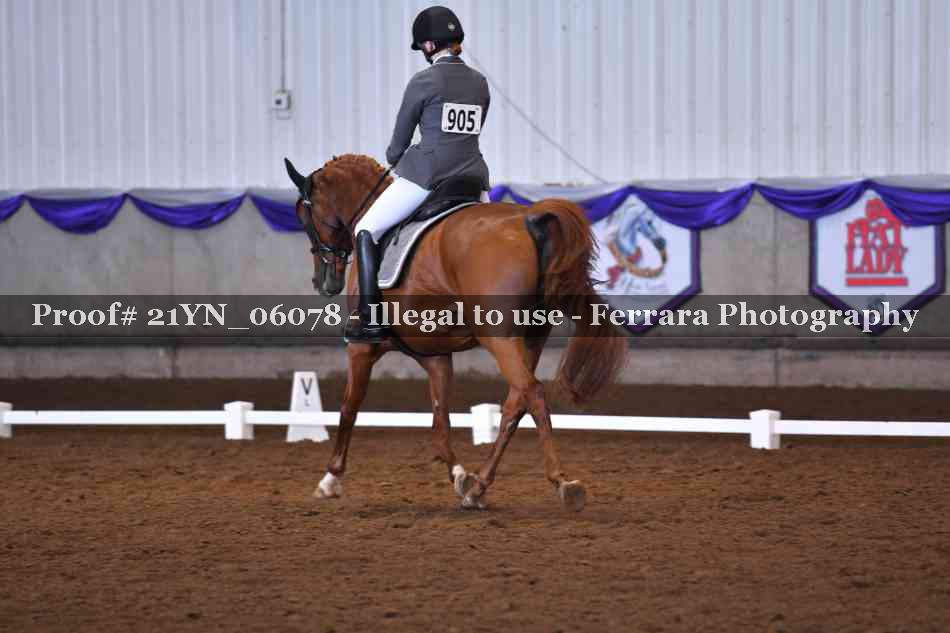 Proof 21YN_06078