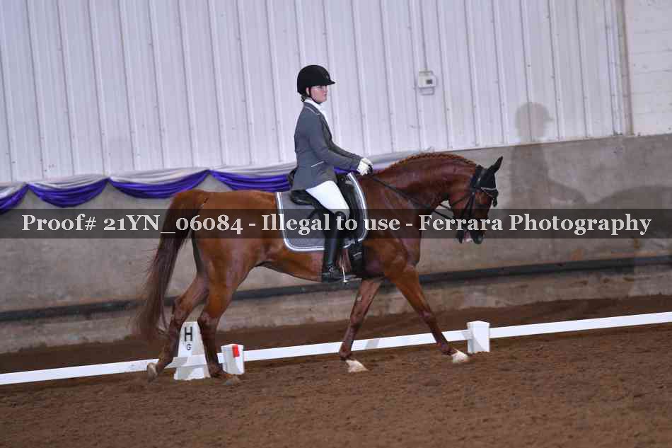 Proof 21YN_06084