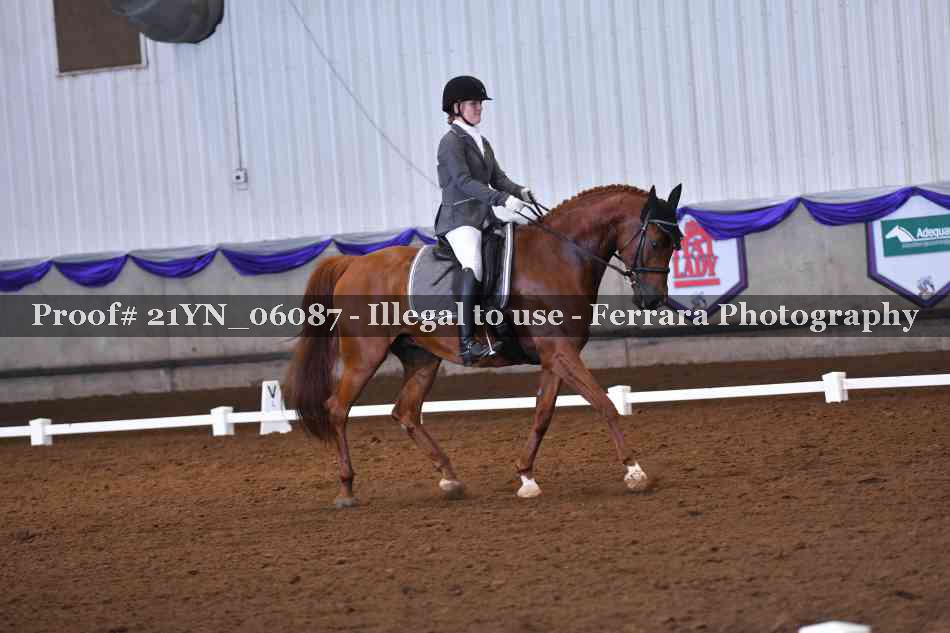 Proof 21YN_06087