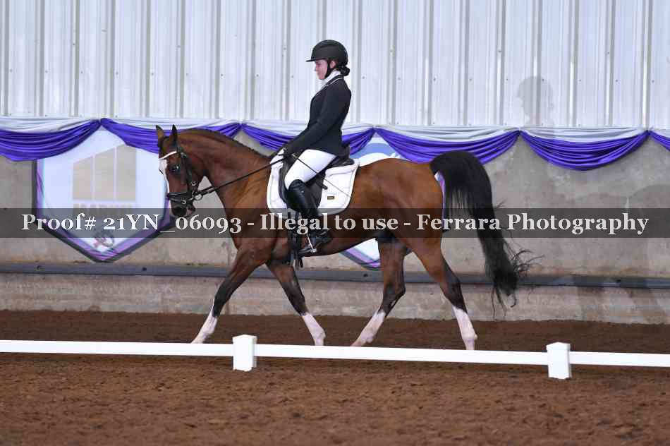 Proof 21YN_06093