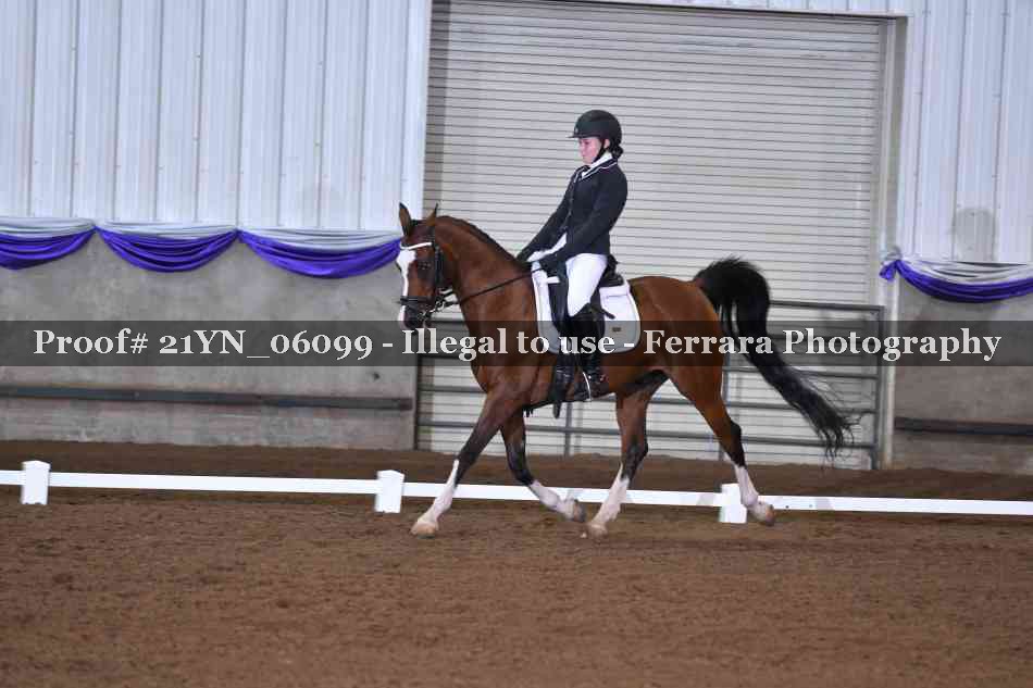 Proof 21YN_06099