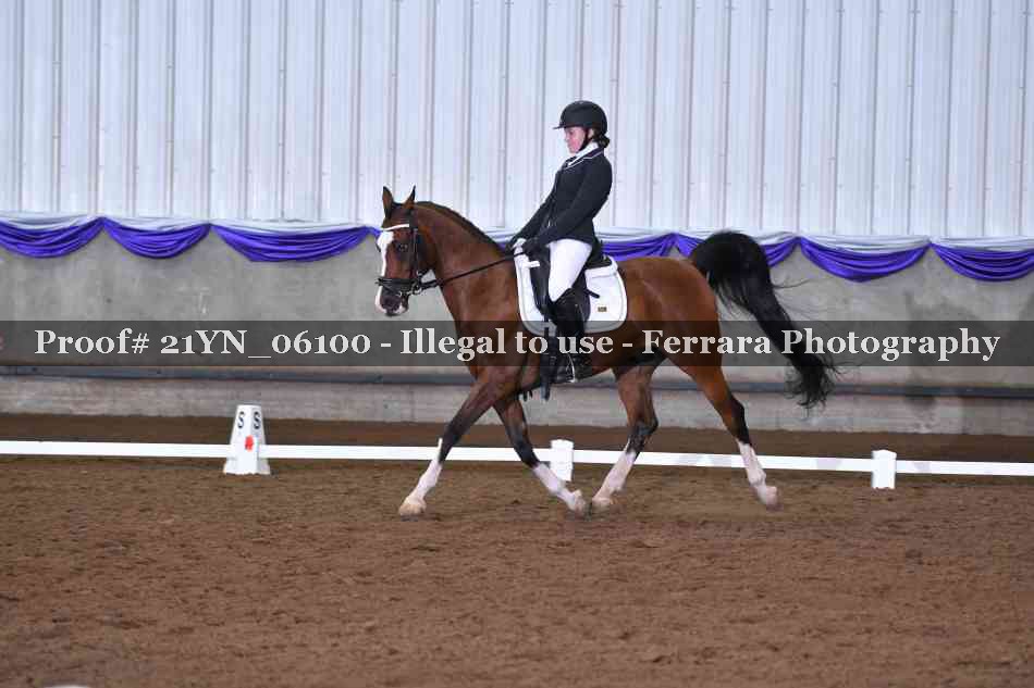 Proof 21YN_06100
