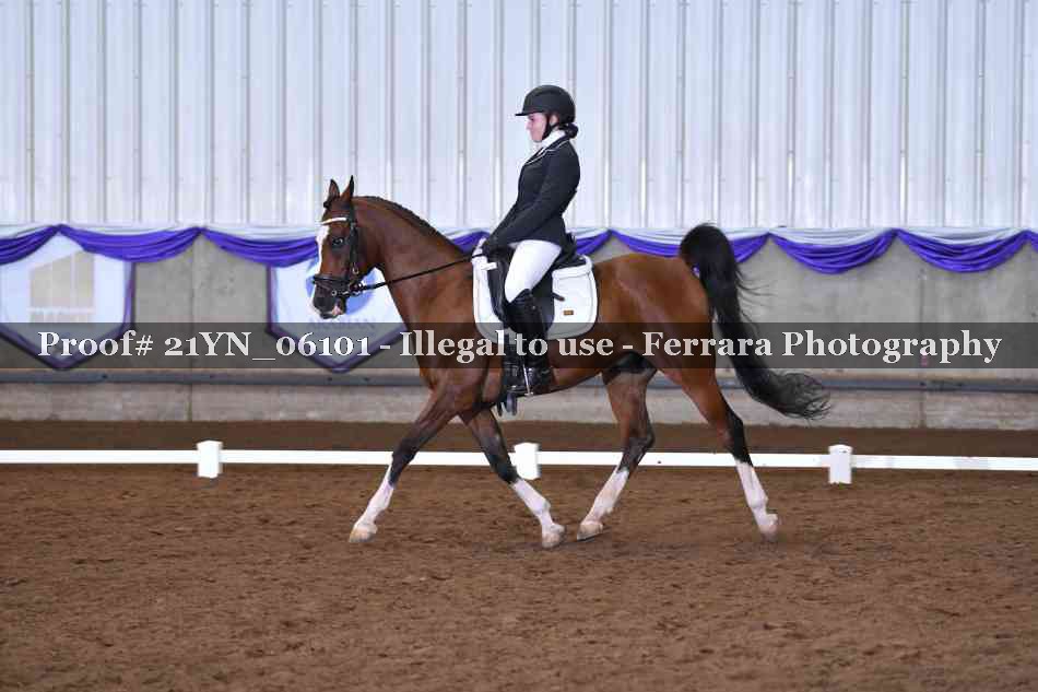 Proof 21YN_06101