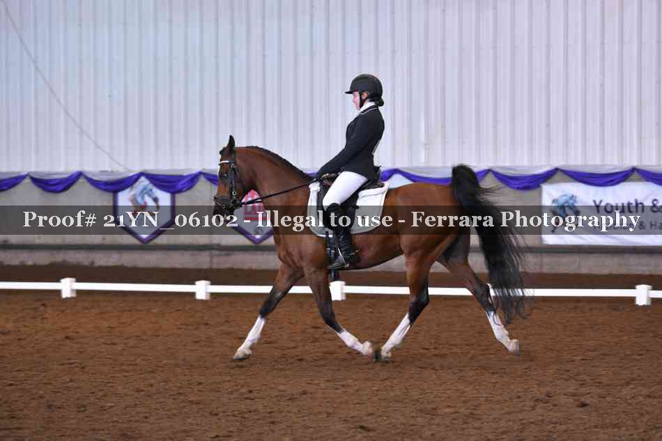 Proof 21YN_06102