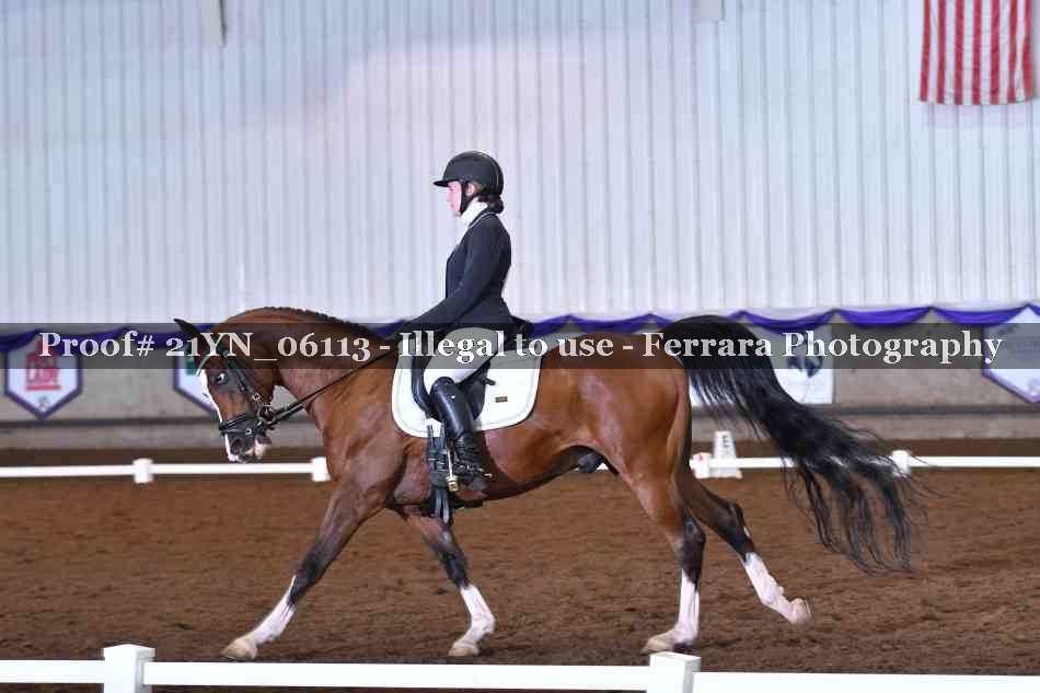Proof 21YN_06113