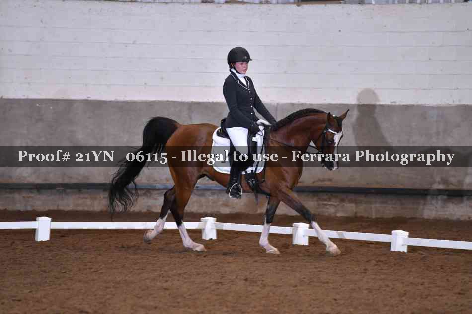 Proof 21YN_06115