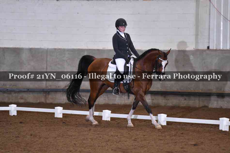 Proof 21YN_06116