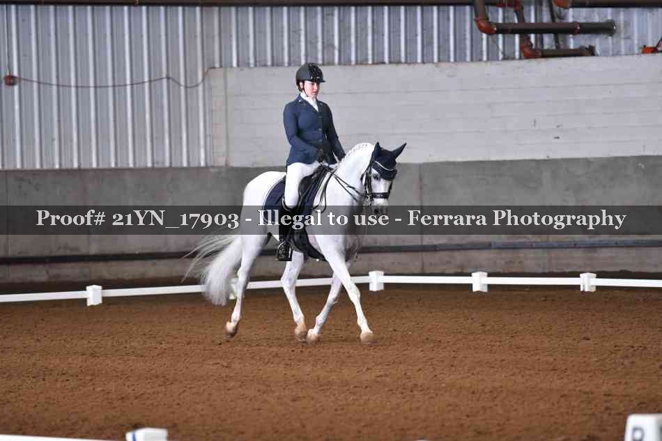 Proof 21YN_17903