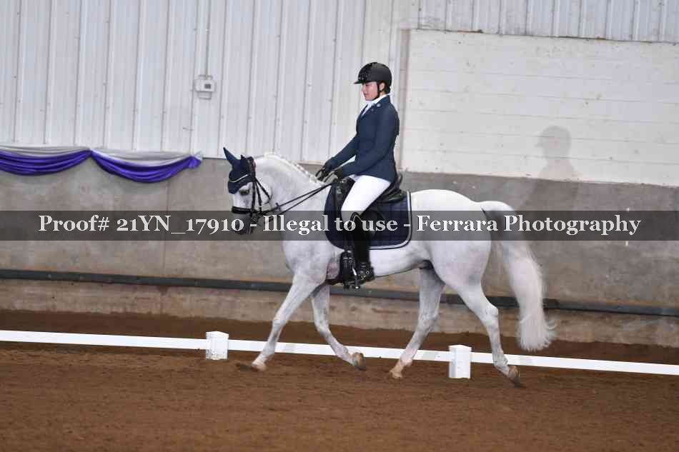 Proof 21YN_17910