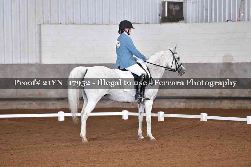 Proof 21YN_17952