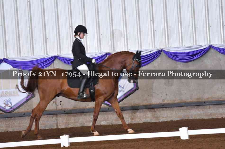 Proof 21YN_17954