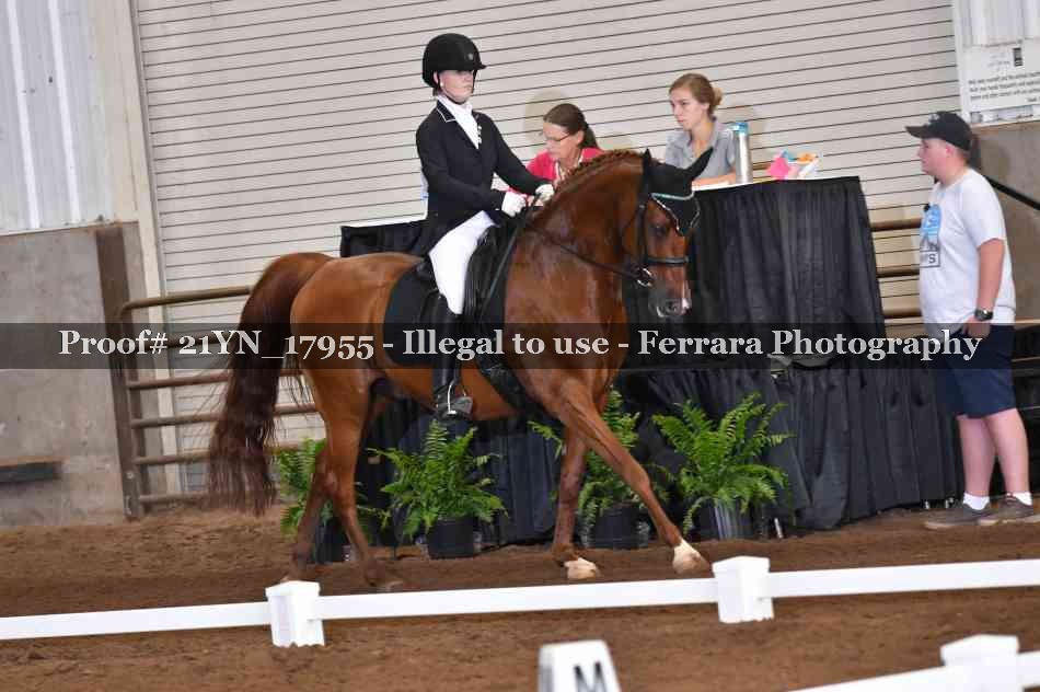 Proof 21YN_17955
