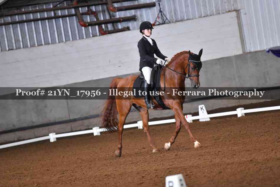 Proof 21YN_17956