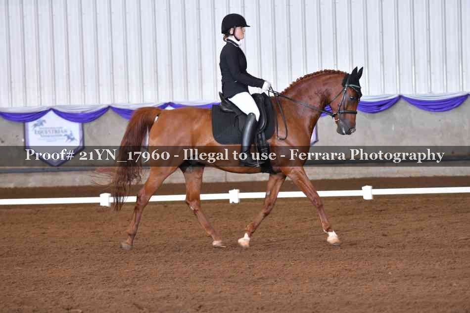 Proof 21YN_17960