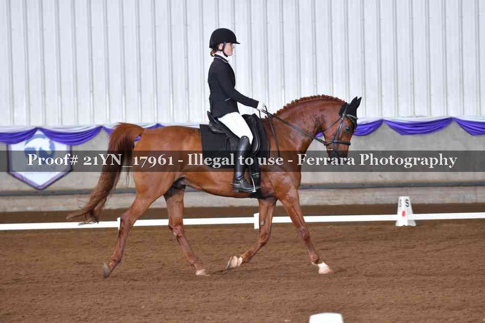 Proof 21YN_17961