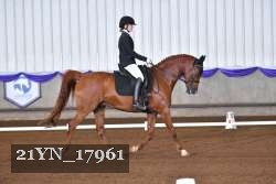 21YN_17961 proof