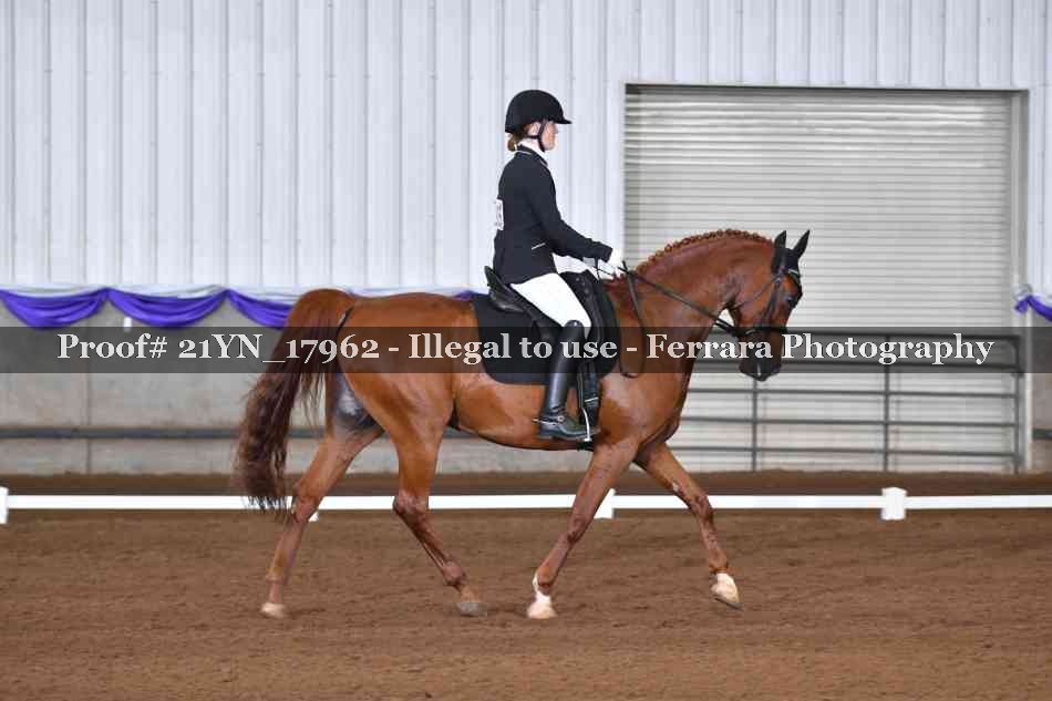 Proof 21YN_17962