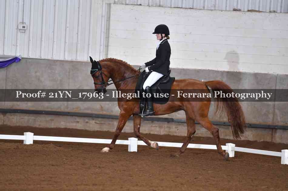 Proof 21YN_17963