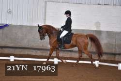 21YN_17963 proof