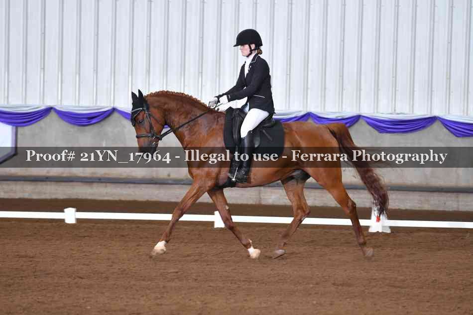 Proof 21YN_17964