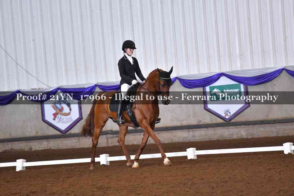 Proof 21YN_17966