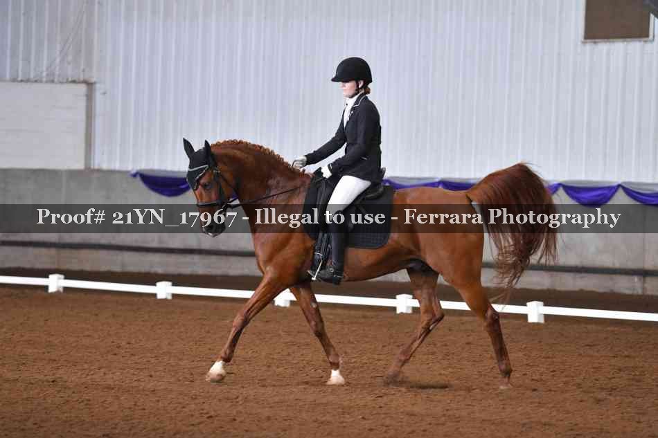 Proof 21YN_17967