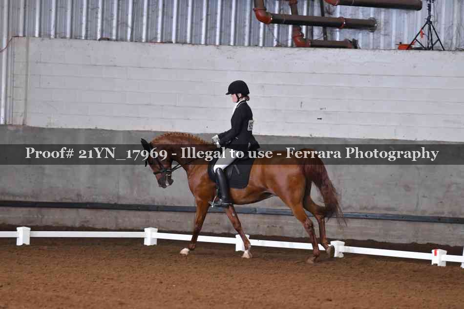 Proof 21YN_17969