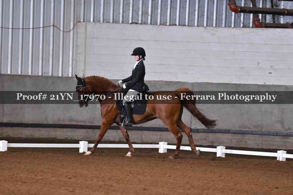 Proof 21YN_17970