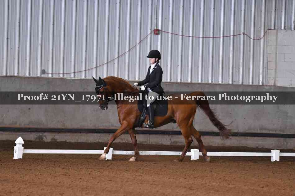 Proof 21YN_17971