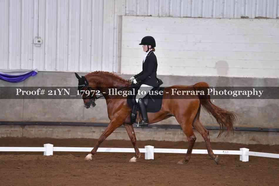 Proof 21YN_17972
